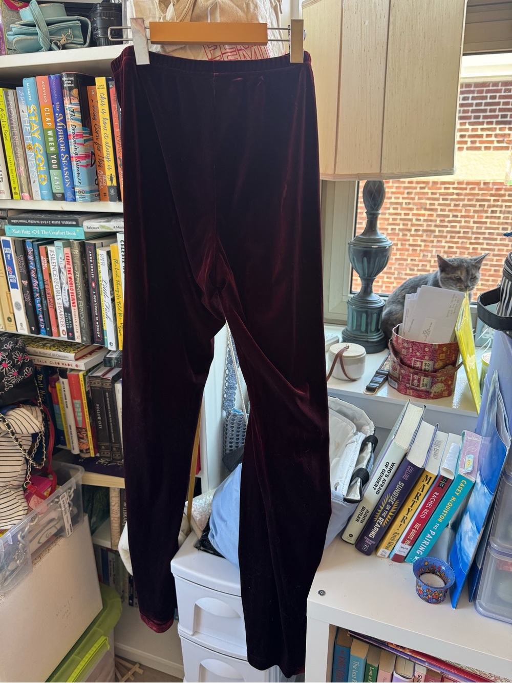 Rialto Maroon Velvet Pants